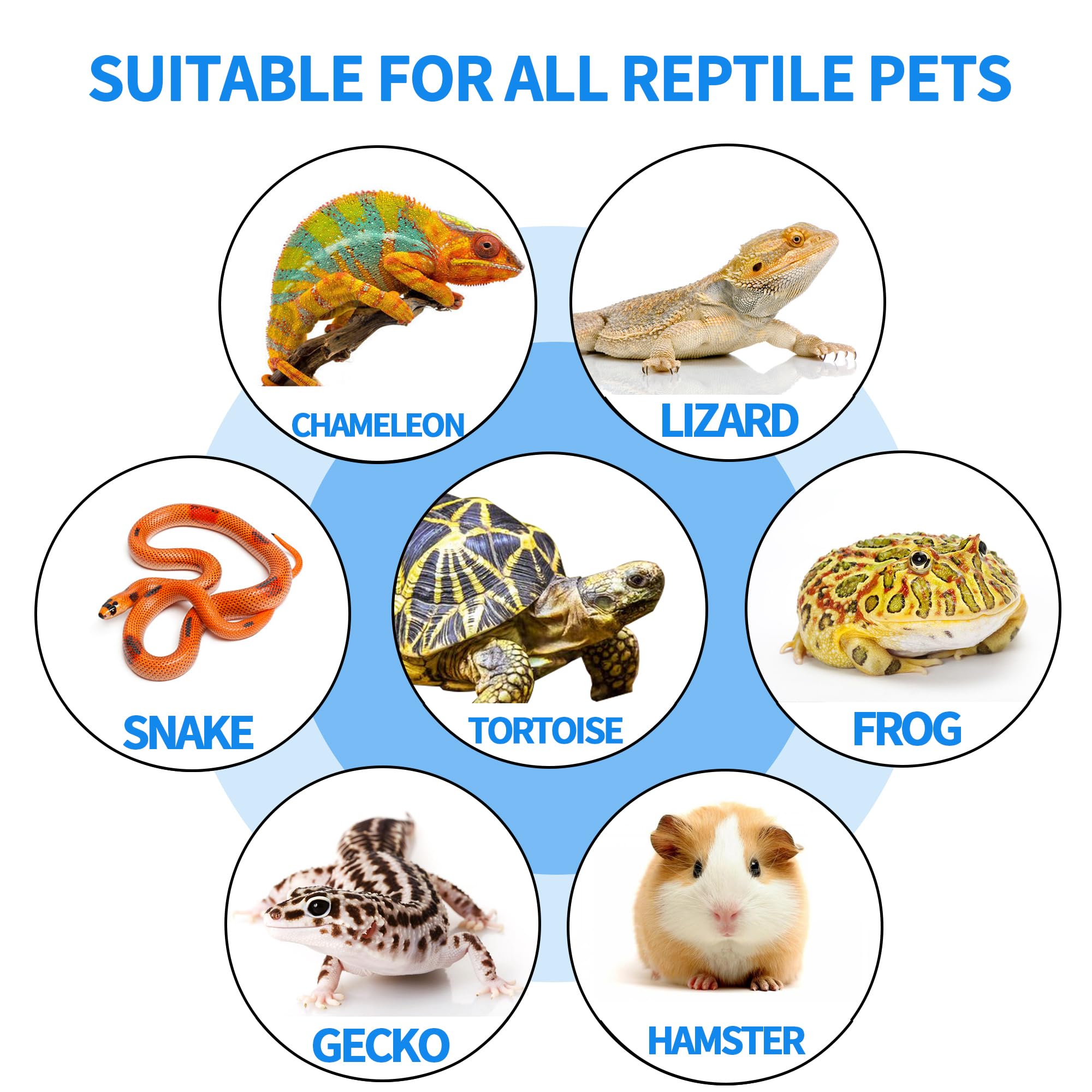 Superficie de piedra INOSCIND que conserva calor para reptiles.