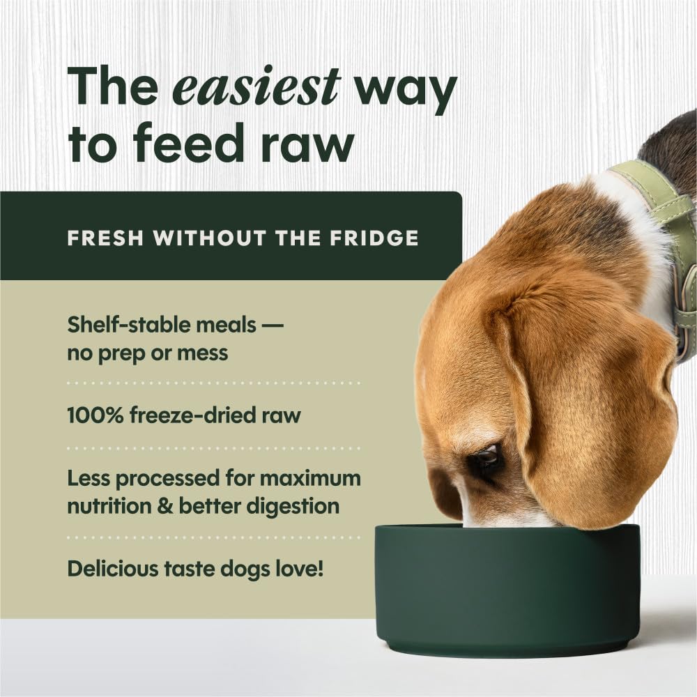 Perro disfrutando de Instinct FreshDried Bites en cena.