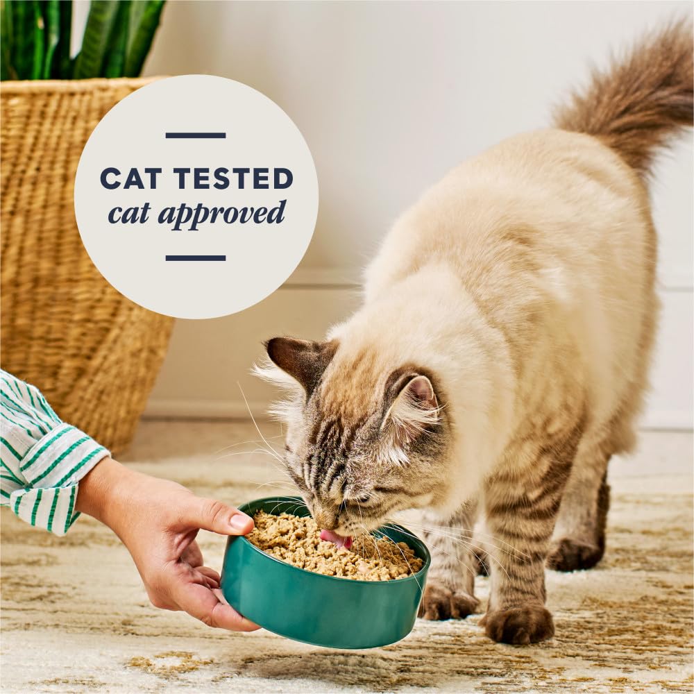 Instinct FreshDried Pates con caldo para potenciar sabor