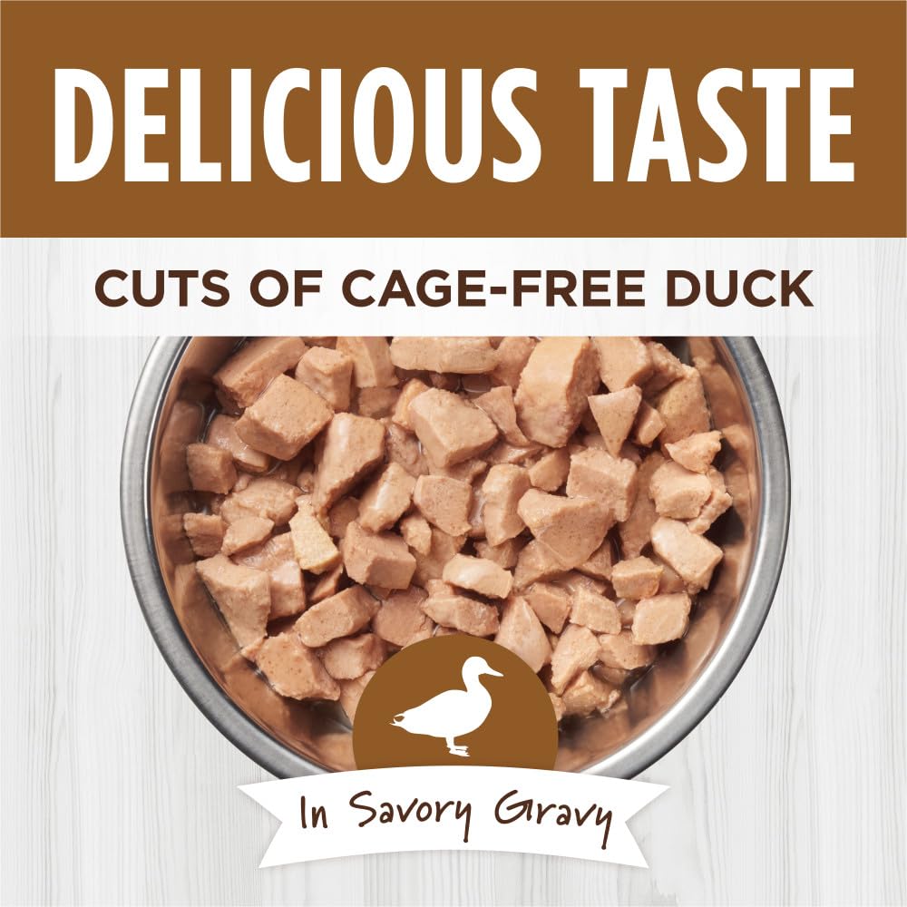 Instinct Healthy Cravings Aderezo textura cremosa con gravy, pato real