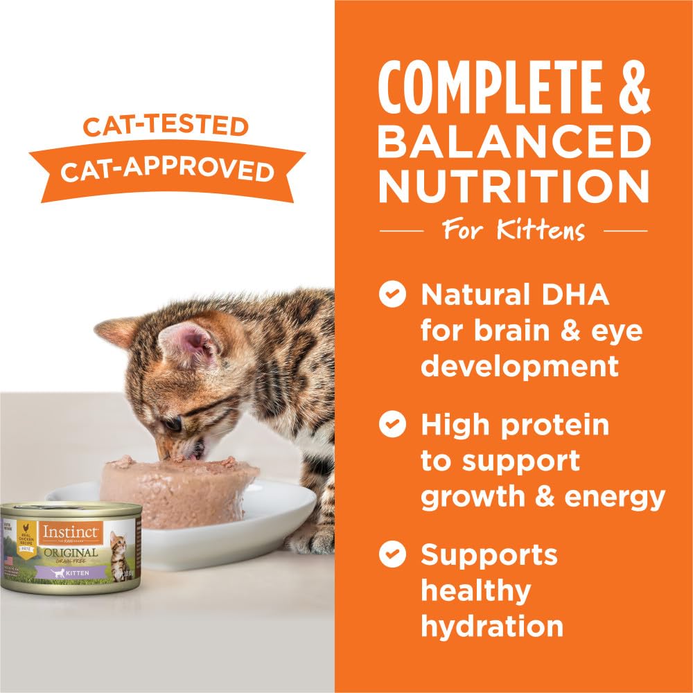 Instinct Kitten Pate Sin Granos: opción limpia para gatitos sensibles