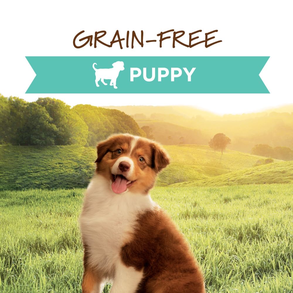 Instinct Original para cachorros, lata con ingredientes naturales para apoyar la nutrición.