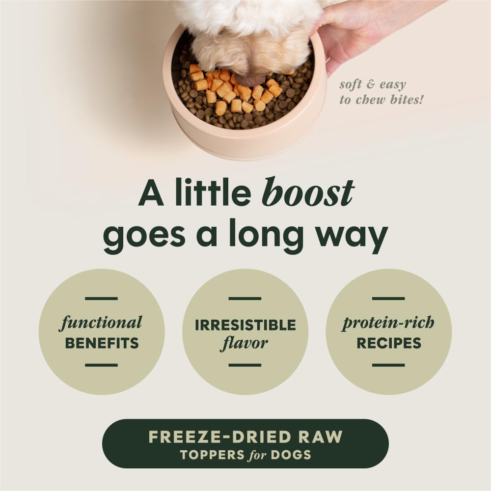 Instinct RawBoost ingredientes naturales: selección funcional para apoyar una digestión equilibrada al servir