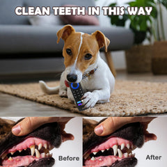 Intatikoo juguete antiaburrimiento para perritos, ideal para juego en interiores.
