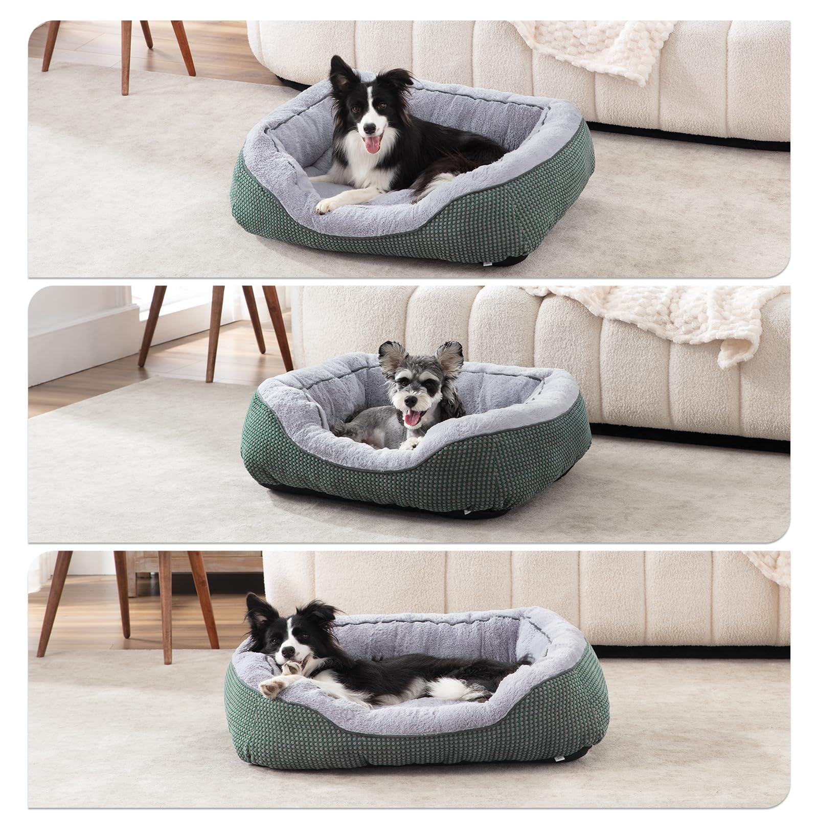 Diseño ergonómico INVENHO para perros de varios tamaños