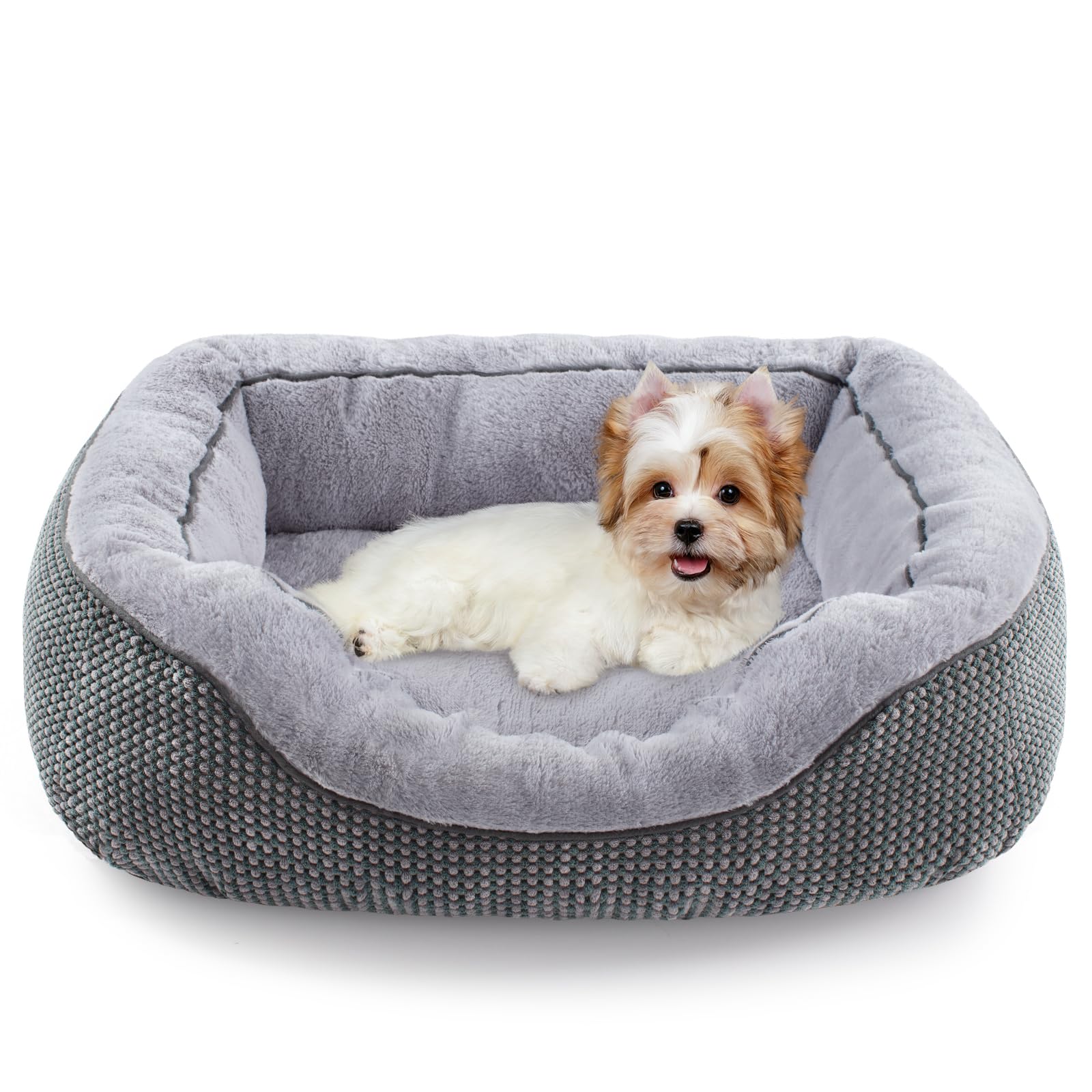 Cama INVENHO para perro pequeño con bordes elevados para mayor confort.