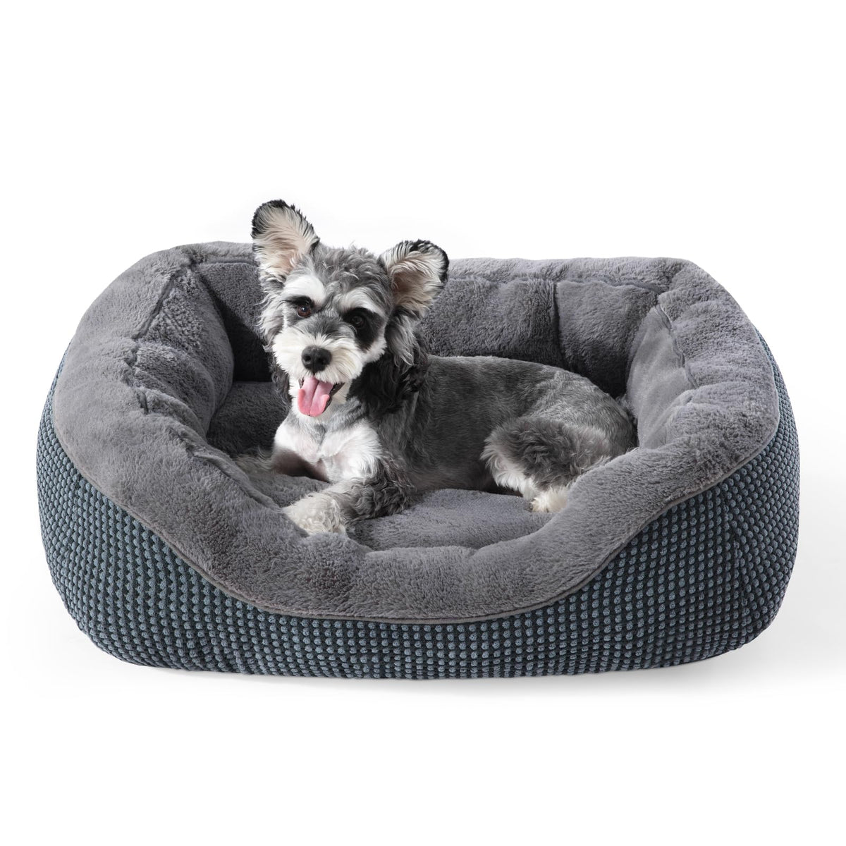 Cama INVENHO para perros pequeños, superficie suave que favorece el descanso.