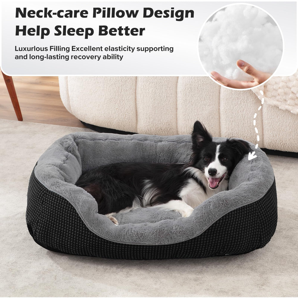 Cama para perros pequeños de talla adecuada INVENHO para mayor comodidad.