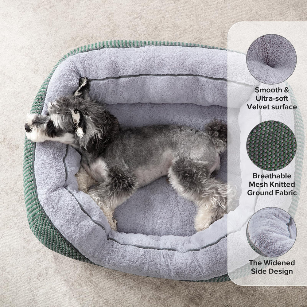 INVENHO cama para perro pequeño, cobertura suave tipo peluche para descanso