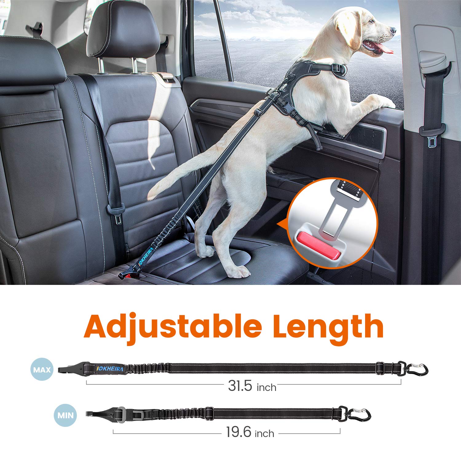 Seguridad y comodidad en coche para tu perro con IOKHEIRA