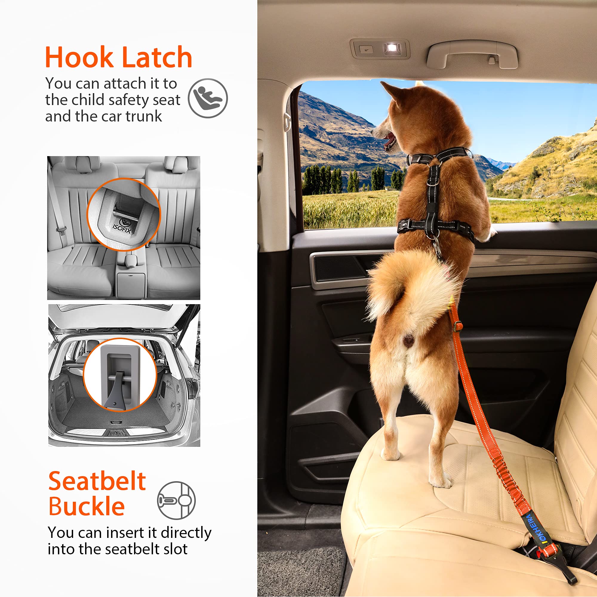 IOKHEIRA uso en coche para paseos seguros con tu perro