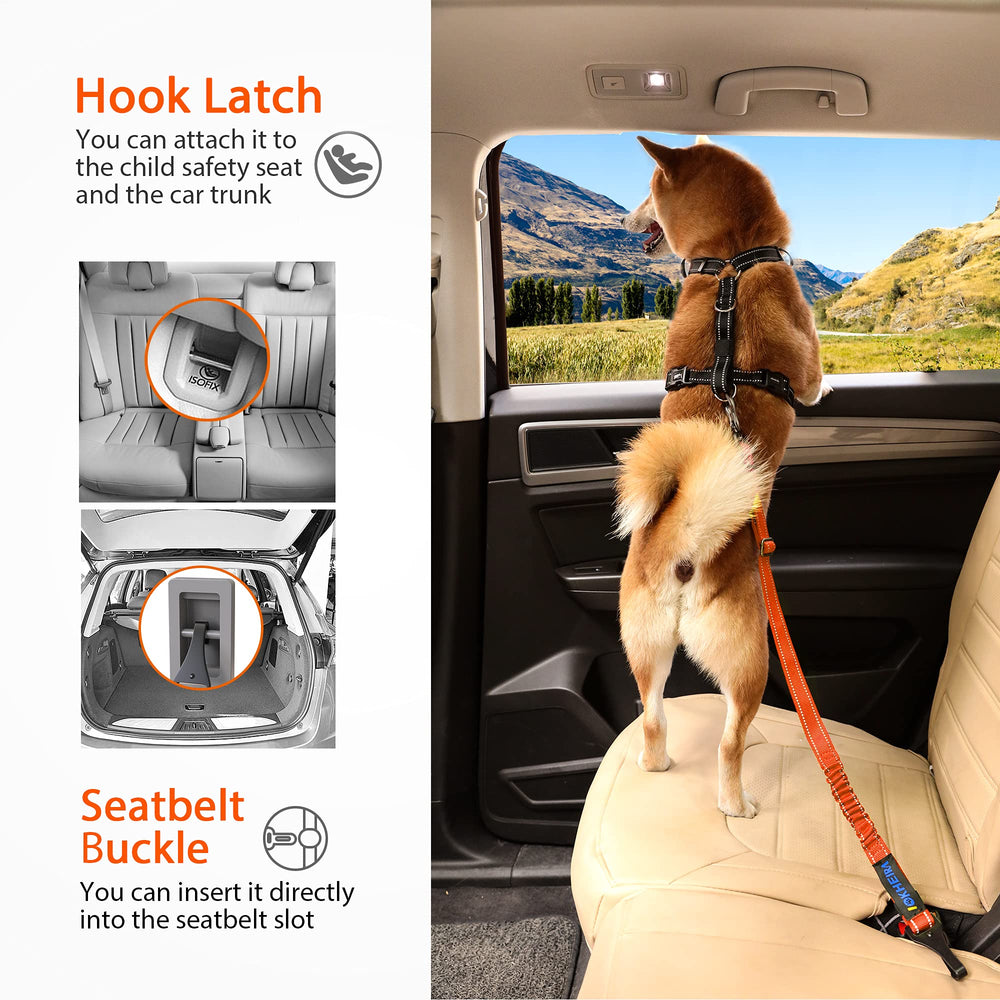 IOKHEIRA uso en coche para paseos seguros con tu perro
