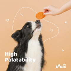 iPaw 2 Saver Combo envase doble para almacenamiento práctico.