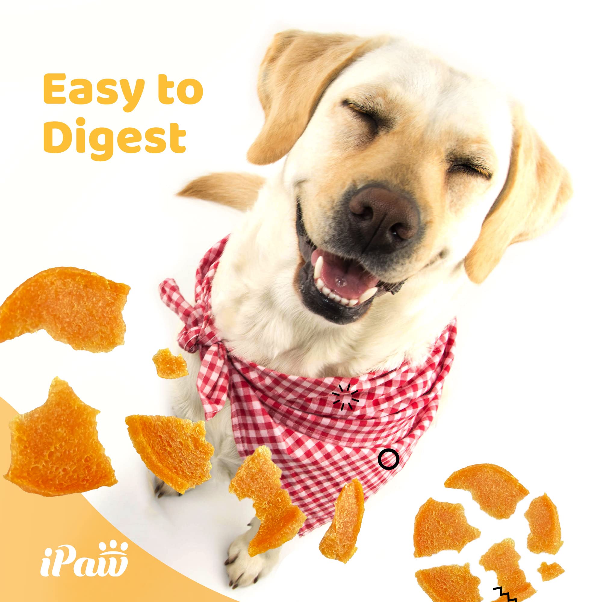 iPaw 2 Saver Combo perro entrenando: premio sabroso para progreso en obediencia.