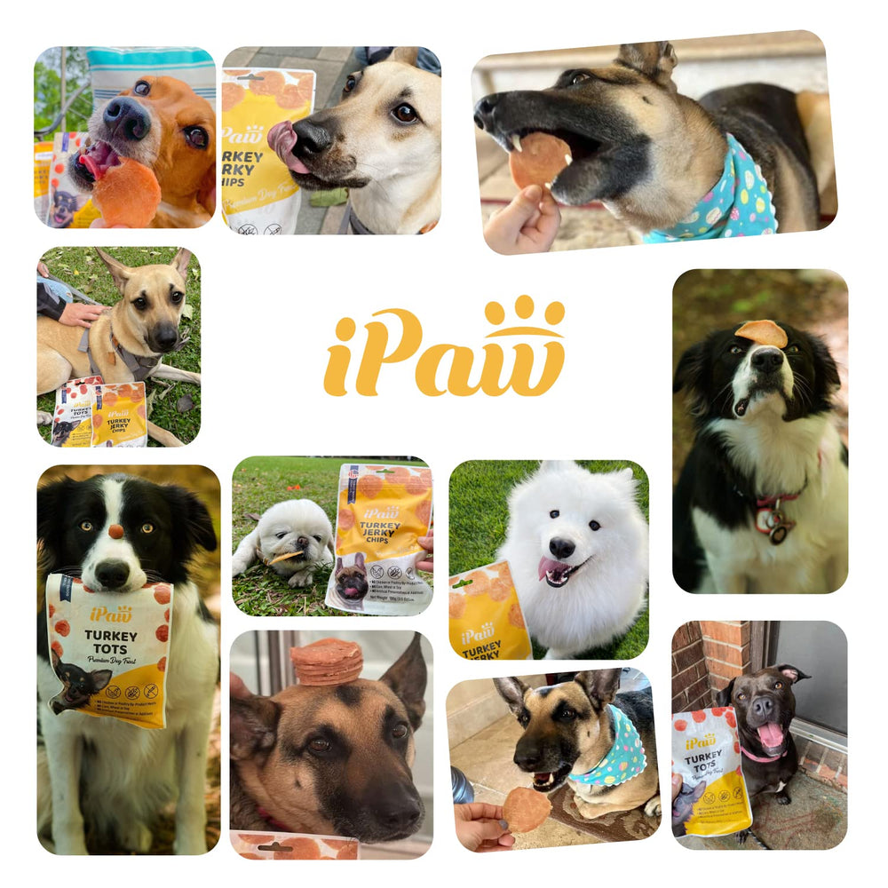 Aroma irresistible de iPaw Chicken Tots que motiva al perro.