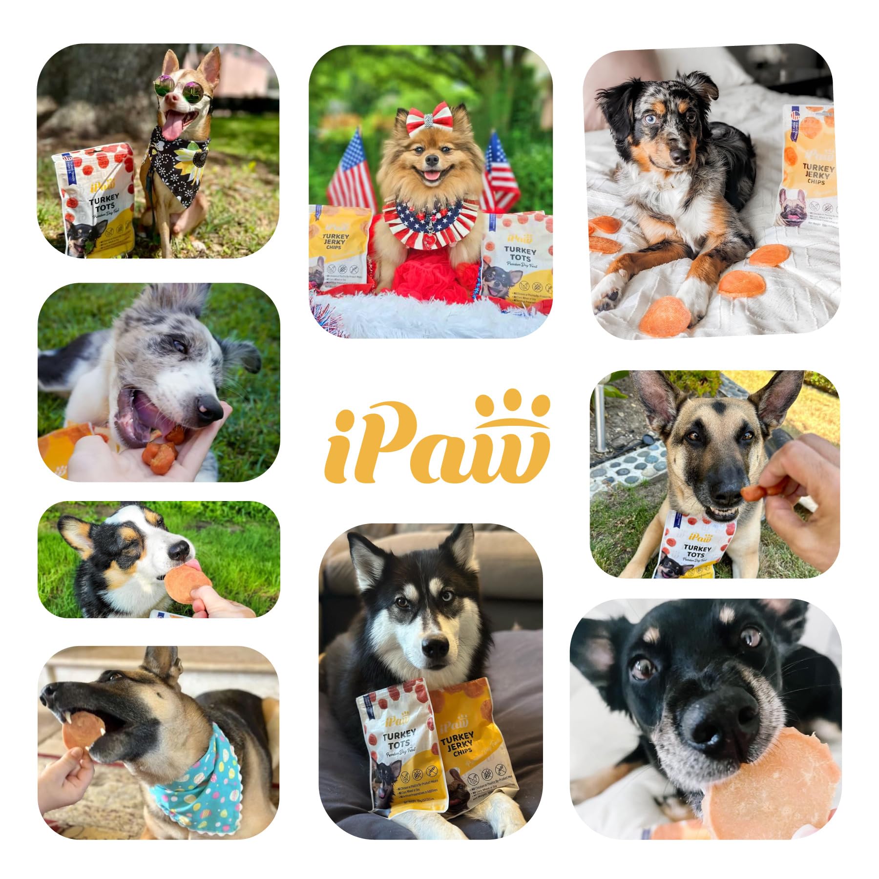 iPaw Chips de Pollo - bocados pequeños para entrenamiento con perros de razas pequeñas