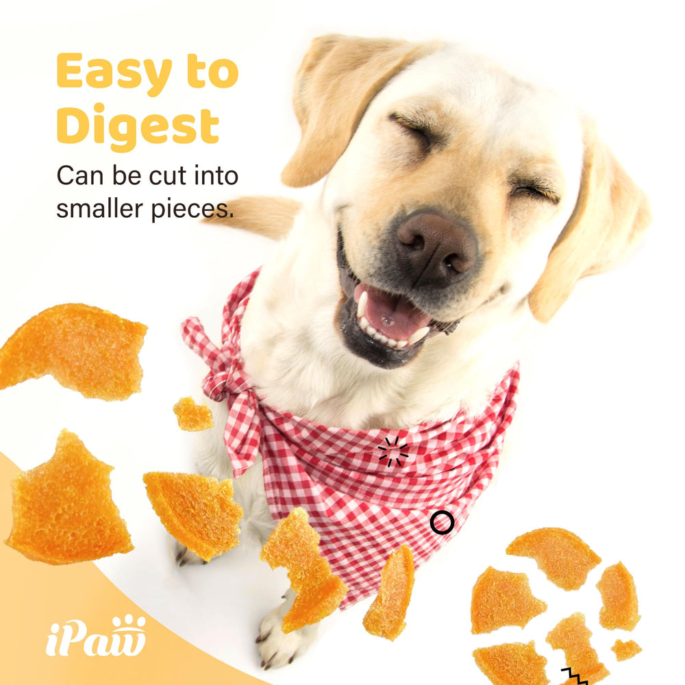 iPaw Chips de Pollo - empaque práctico para uso diario y recompensas consistentes