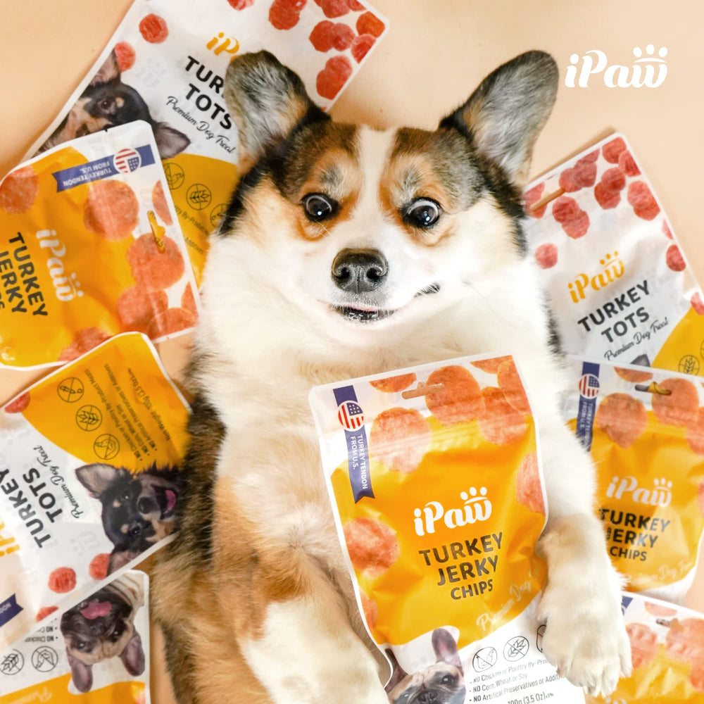 iPaw Chips de Pollo - sin conservantes ni colorantes artificiales para un snack más limpio