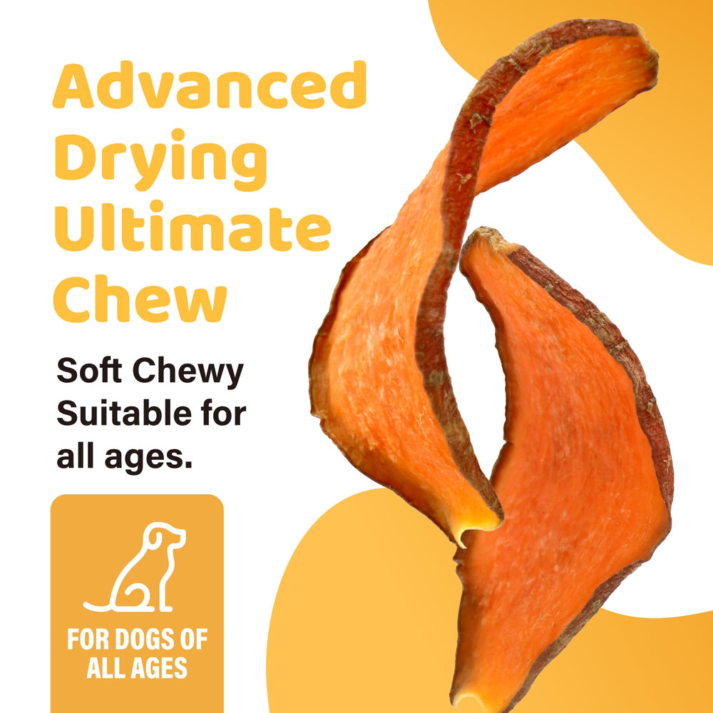 iPaw chuches batata dulce perro masticando snack sabroso y fácil de digerir