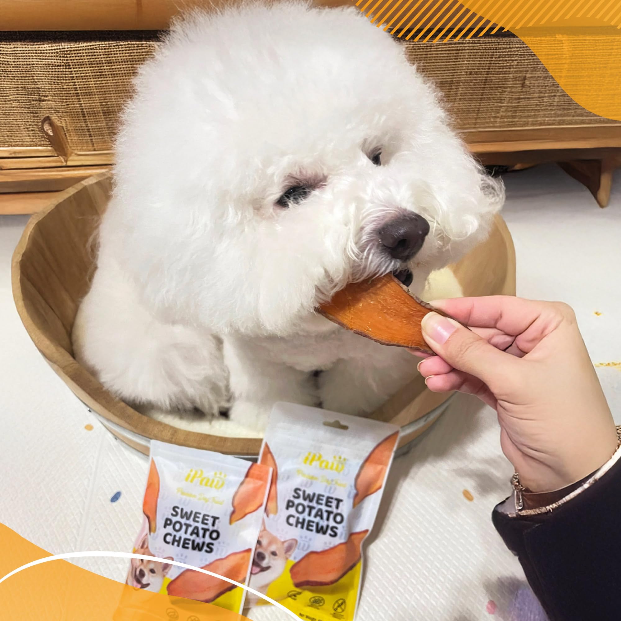 iPaw digestibilidad fácil, perfecto para perros con digestión sensible