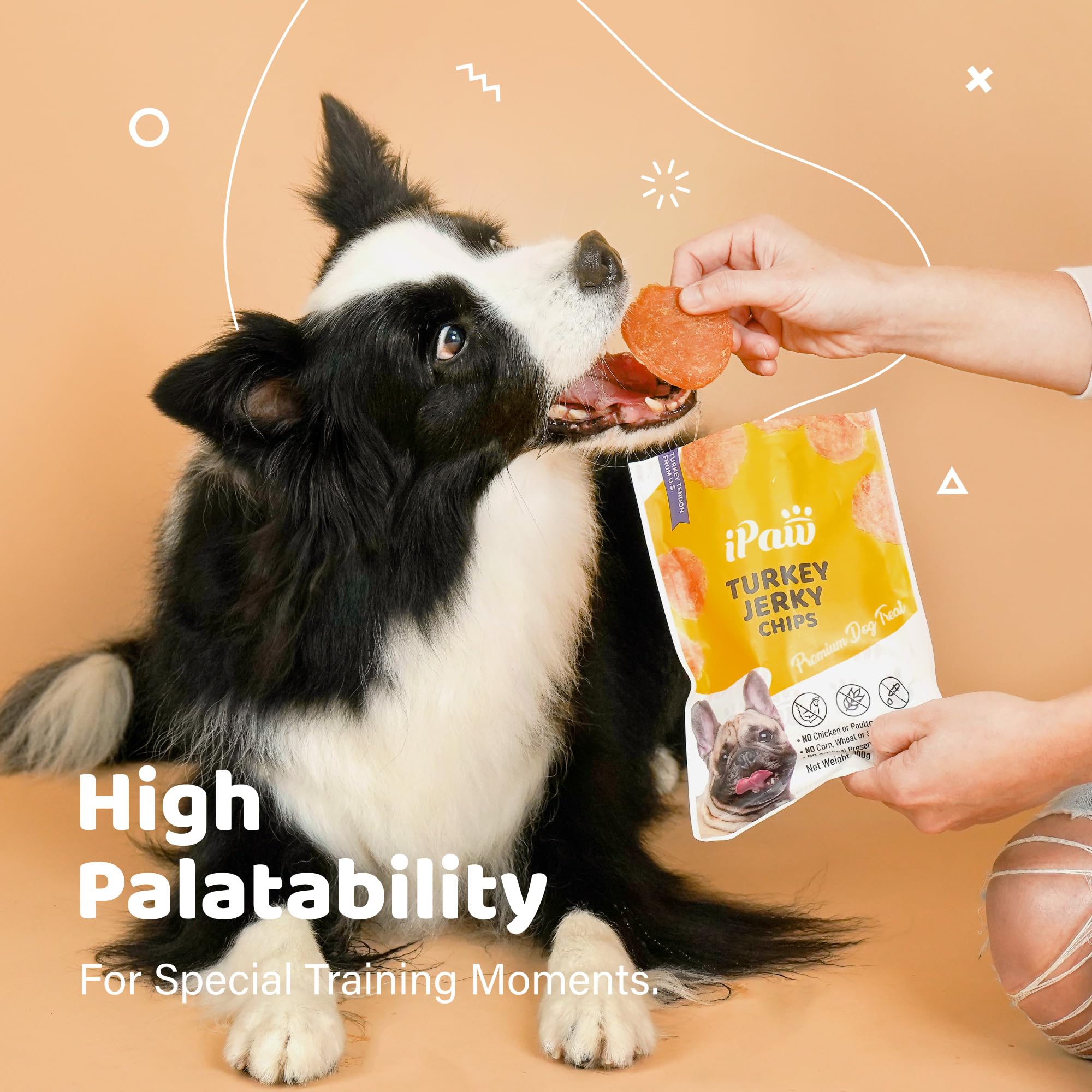 iPaw ingredientes naturales sin granos, opción digestible para perros sensibles