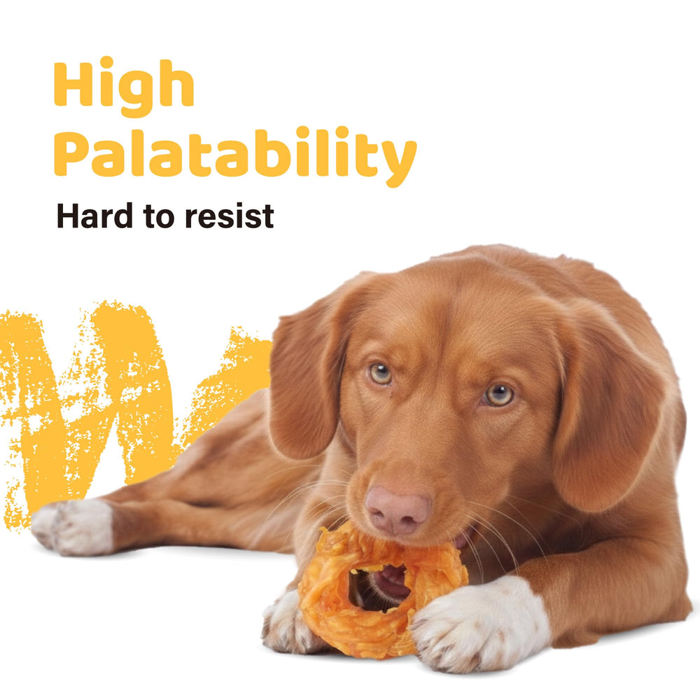 iPaw tendones de pavo aroma delicado: snack hipoalergénico para paladares exigentes.