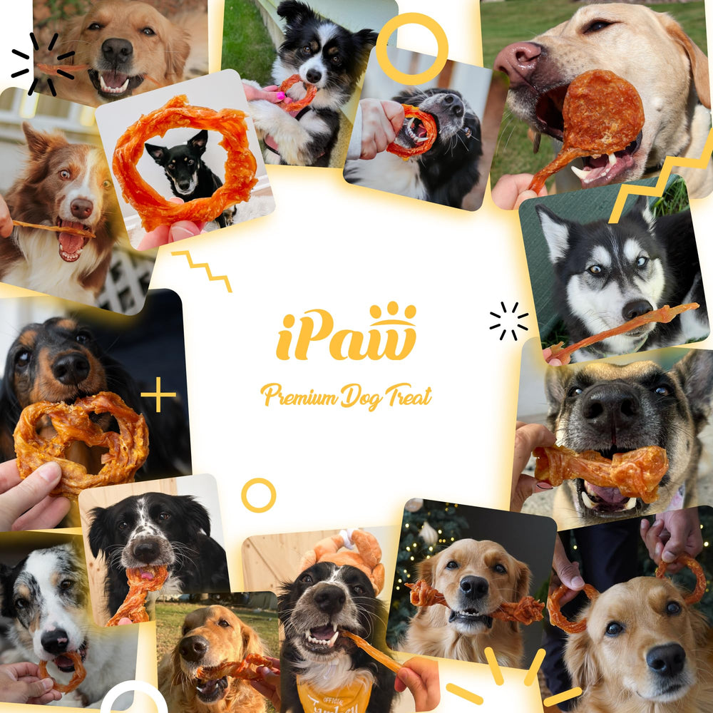 iPaw tendones de pavo, empaque valor para 5 paquetes