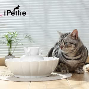iPettie pack de filtros para purificar y mantener agua clara en mascotas