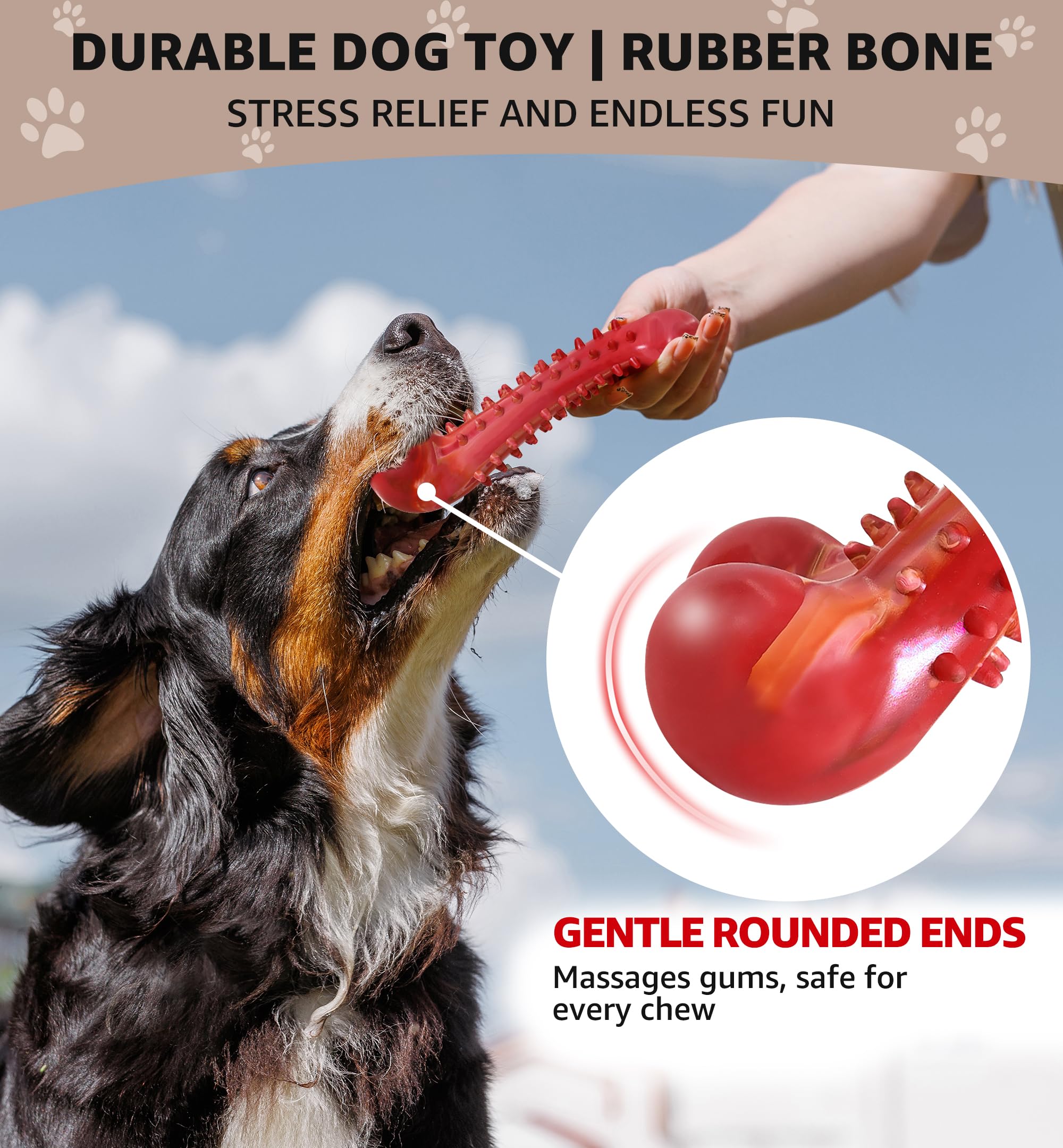 IPTPAS Hueso natural para perros: ayuda a mantener dientes limpios durante juego.