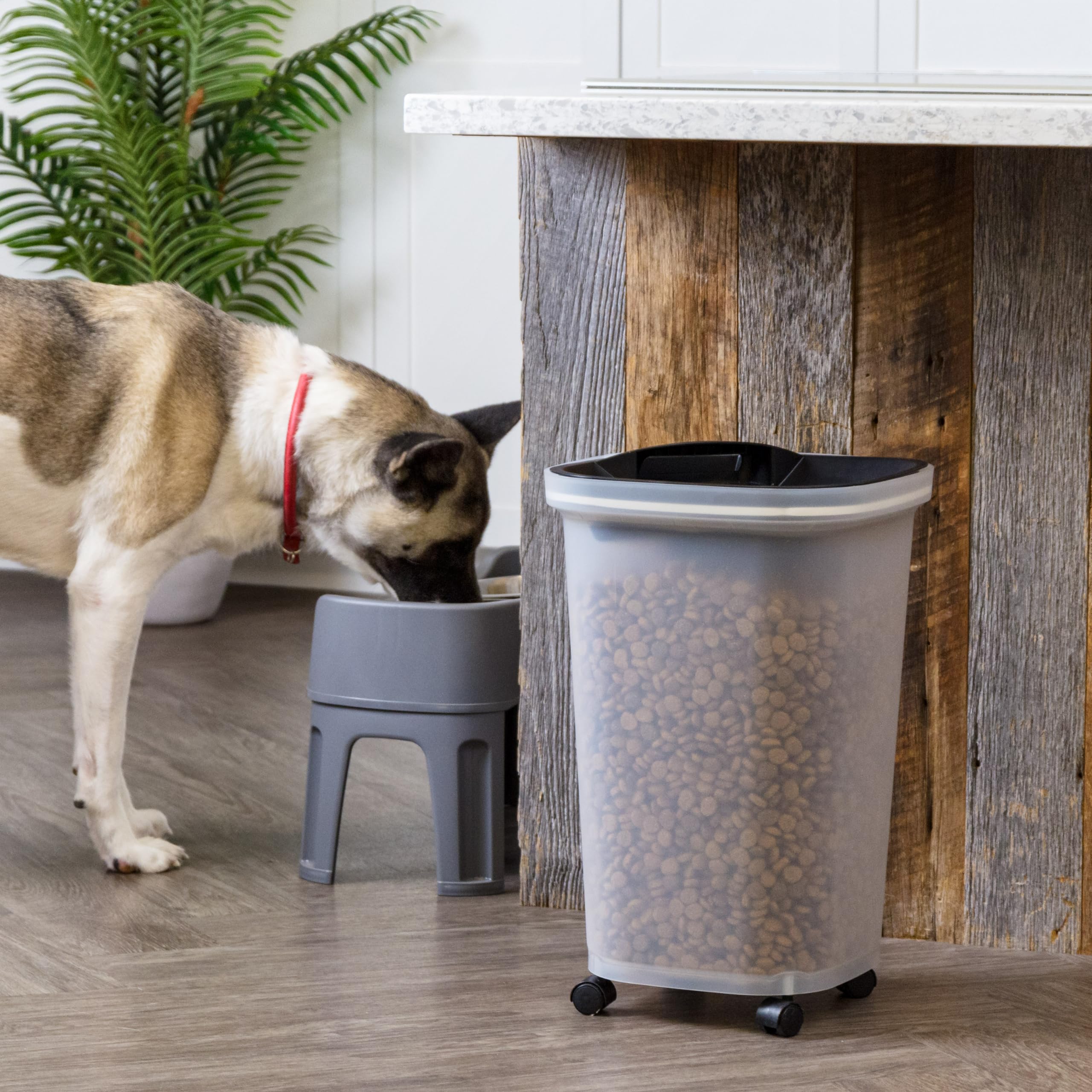 IRIS USA almacenamiento seguro para comida seca de mascotas