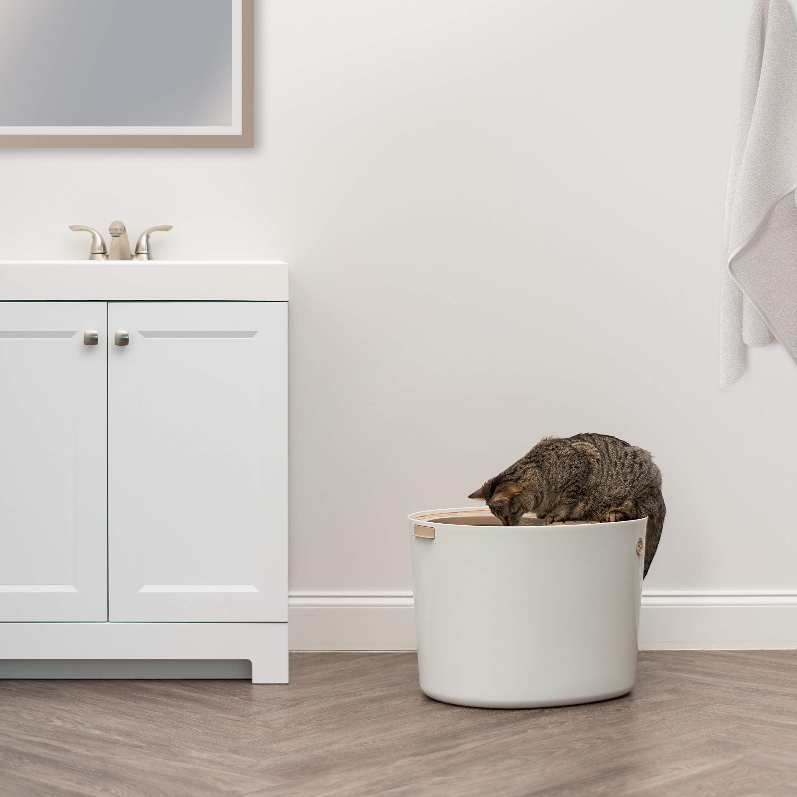 IRIS USA dimensiones adecuadas para gatos adultos y gatitos en casa.