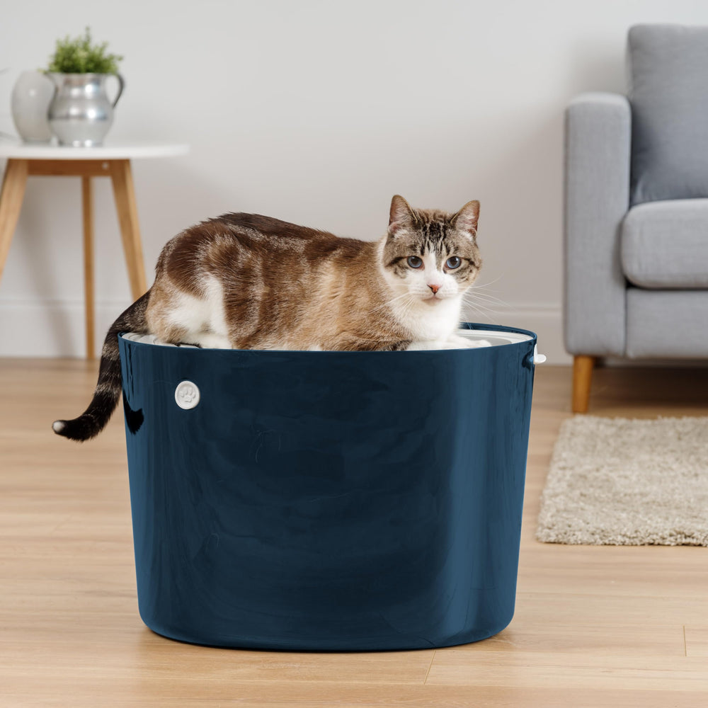 IRIS USA caja de arena diseñada para uso en interiores