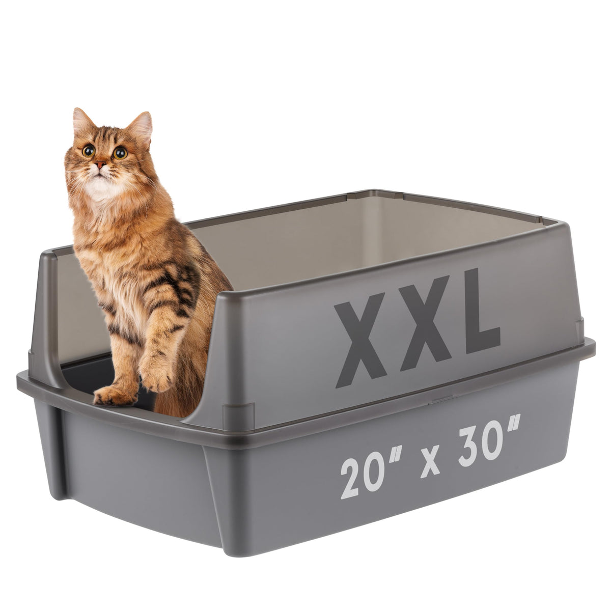 IRIS USA caja de arena XL abierta para gatos grandes, facilita el movimiento y la limpieza