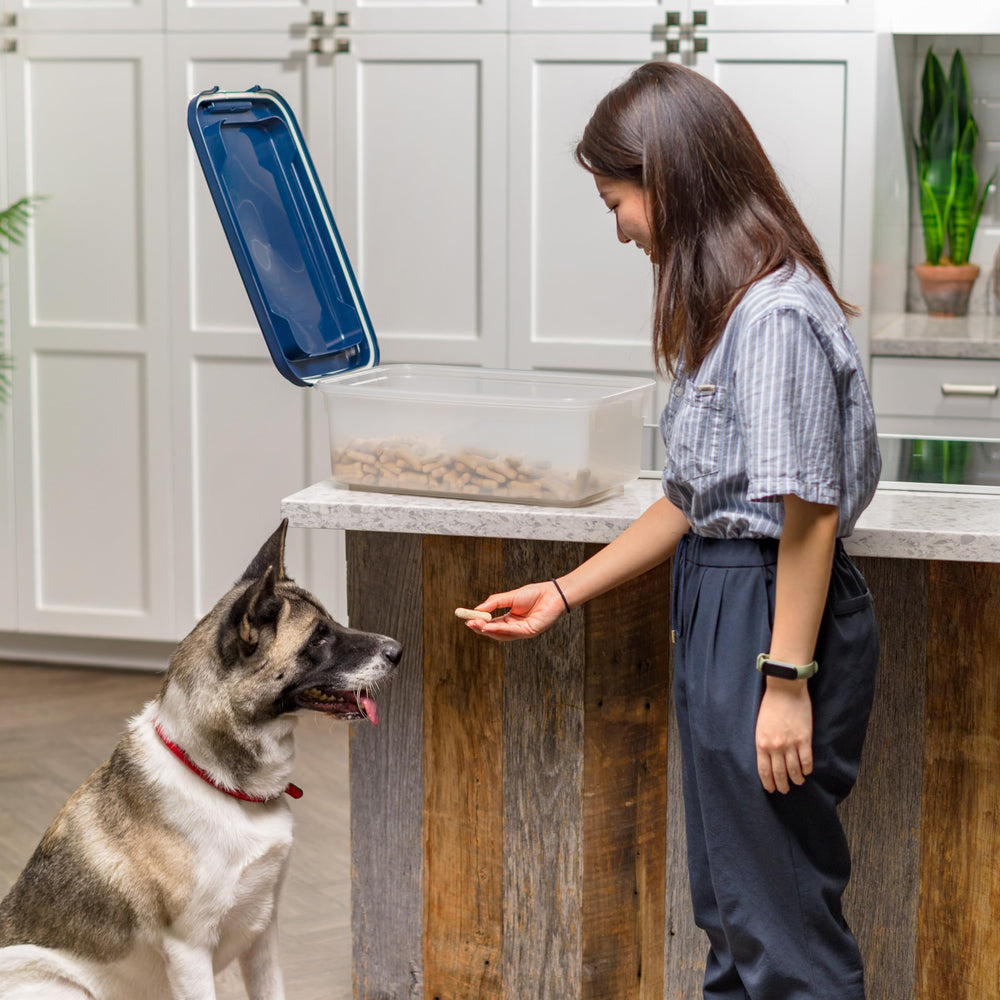 IRIS USA contenedor sin BPA garantiza uso seguro en la cocina para perros y gatos.