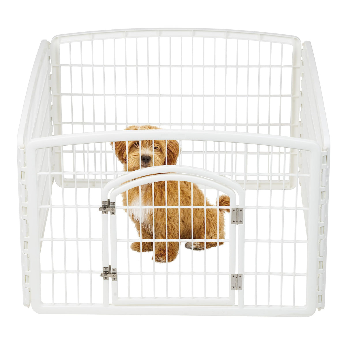 IRIS USA corral para perros de 4 paneles, ideal para juego seguro en casa.