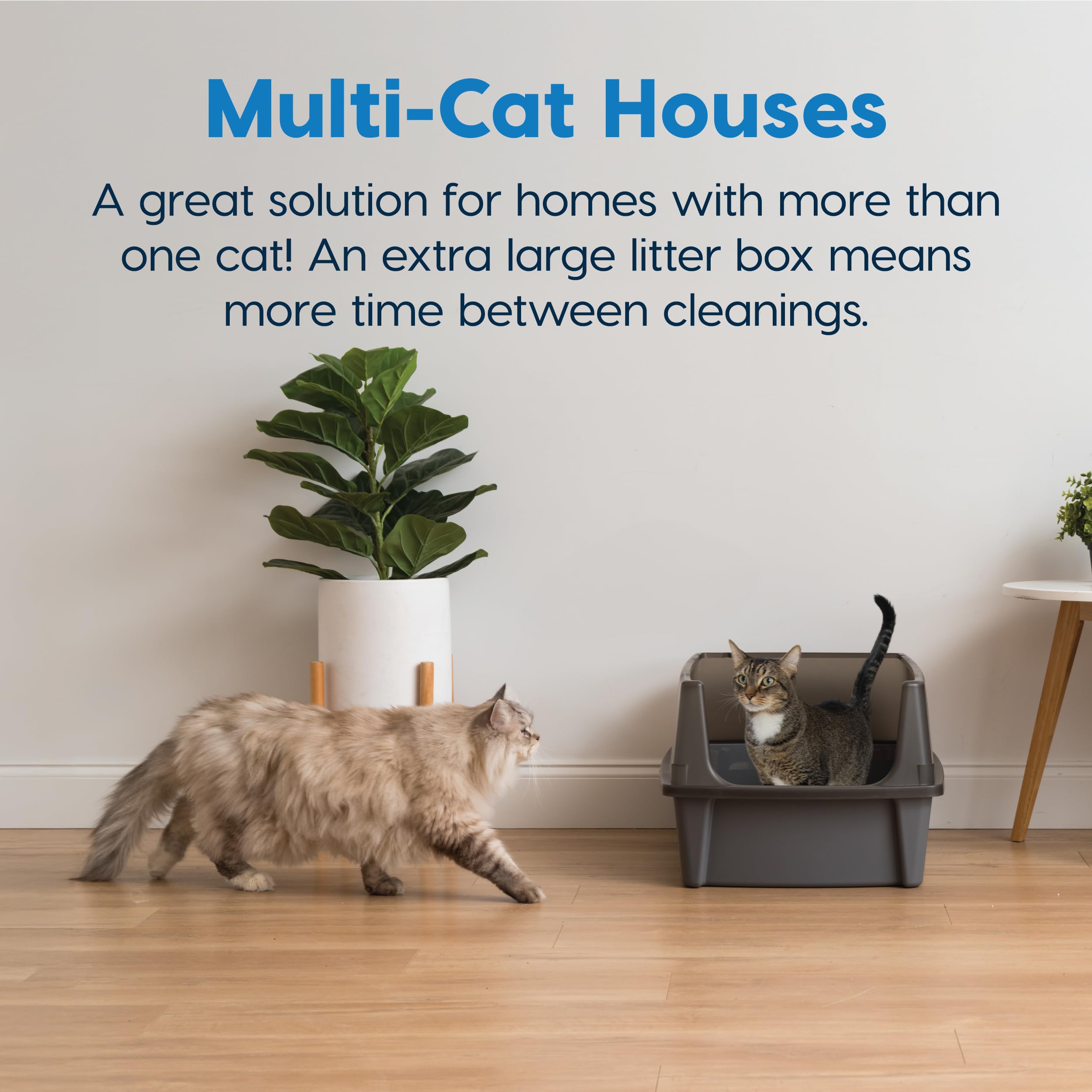 IRIS USA diseño apto para varios gatos en hogares multigato