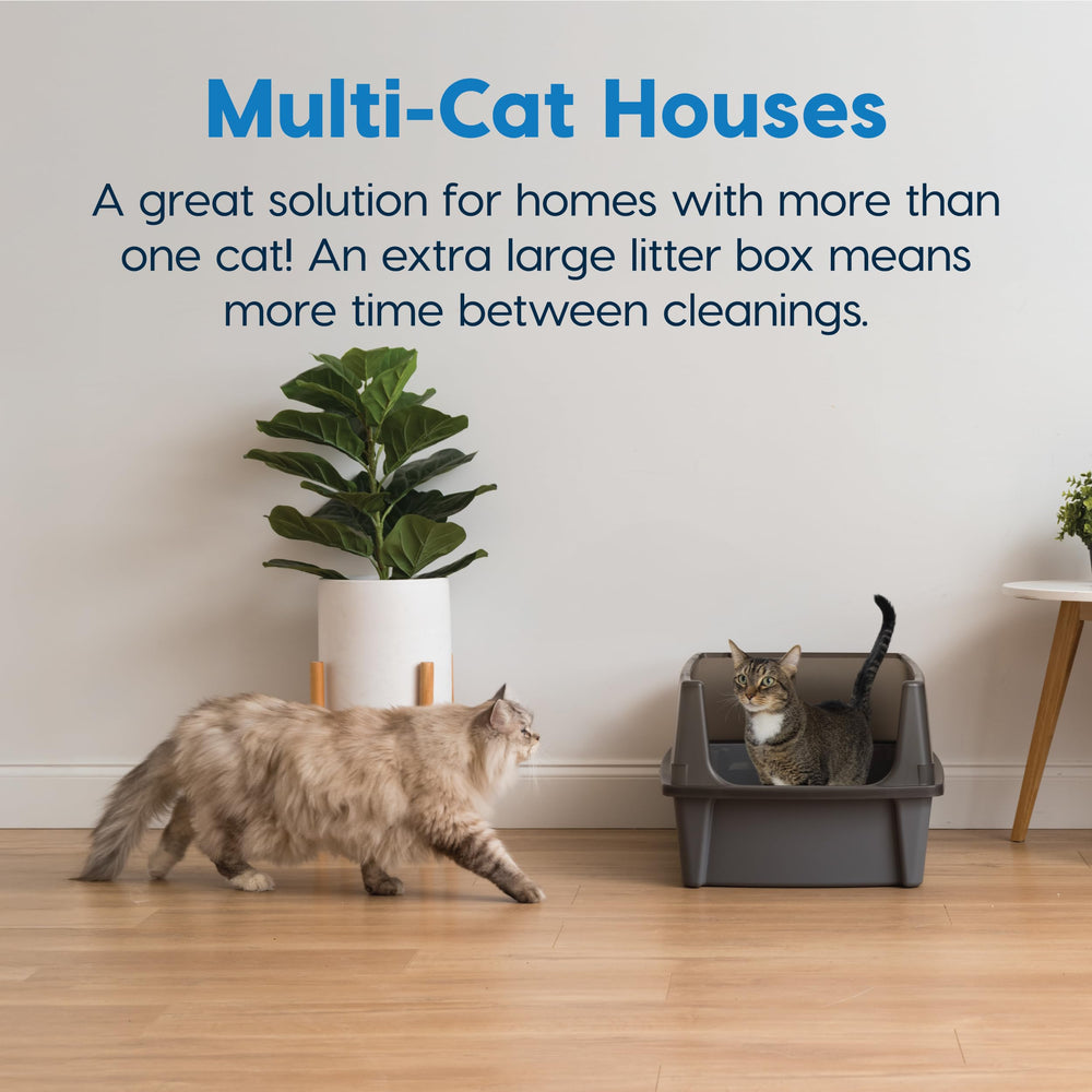 IRIS USA diseño apto para varios gatos en hogares multigato
