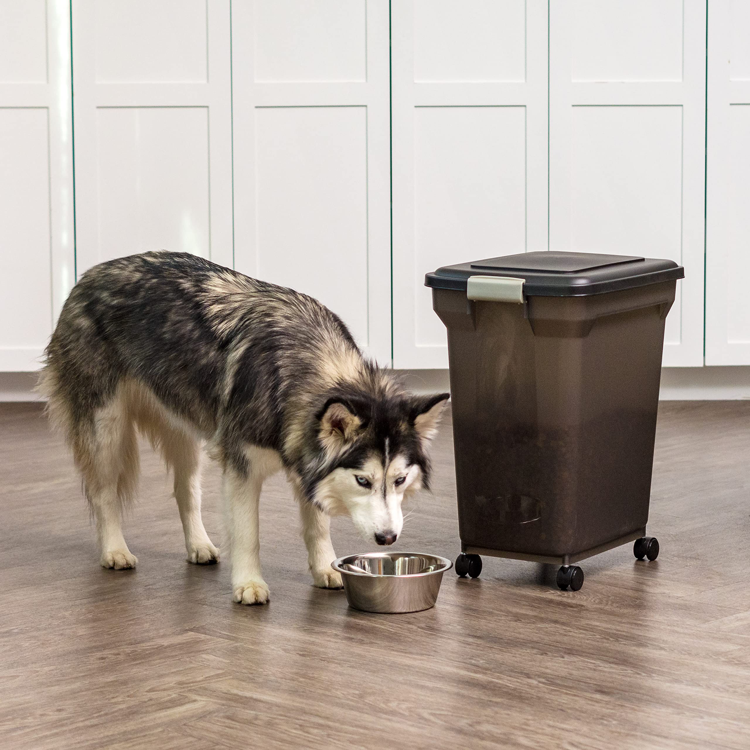 IRIS WeatherPro, hasta 45 libras, ideal para hogares con mascotas
