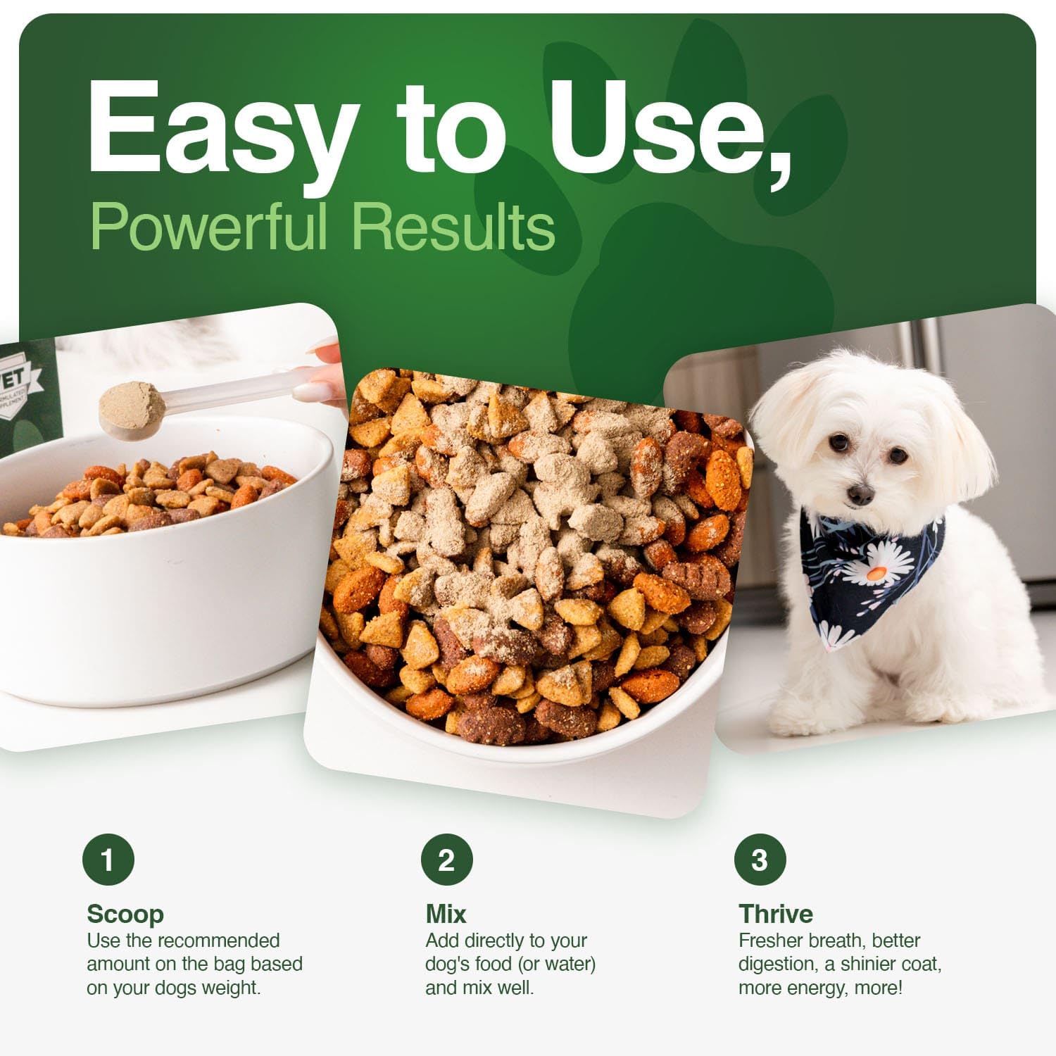 Iron Paws digestivo e inmunidad con probióticos para equilibrio intestinal
