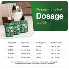 Iron Paws ingredientes activos 20, apoyo integral para salud canina