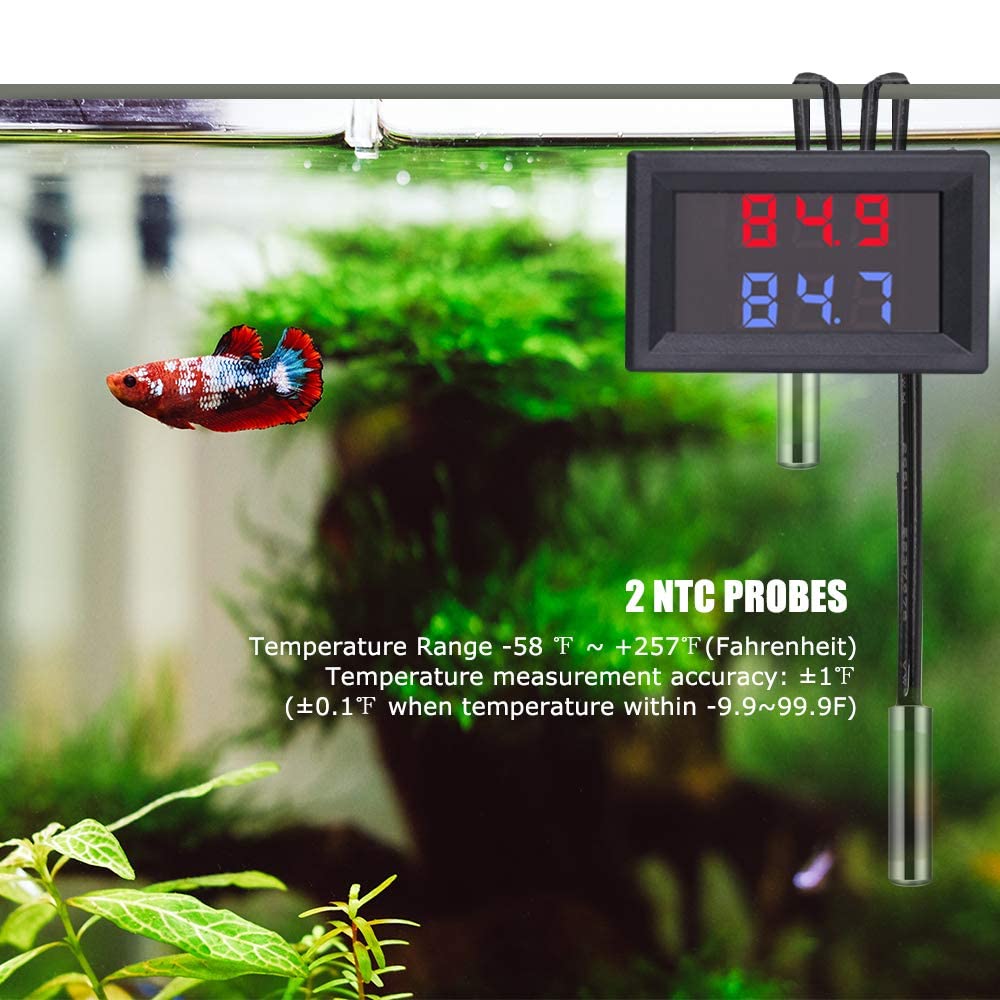 IS Icstation rango amplio de temperatura para agua y aire