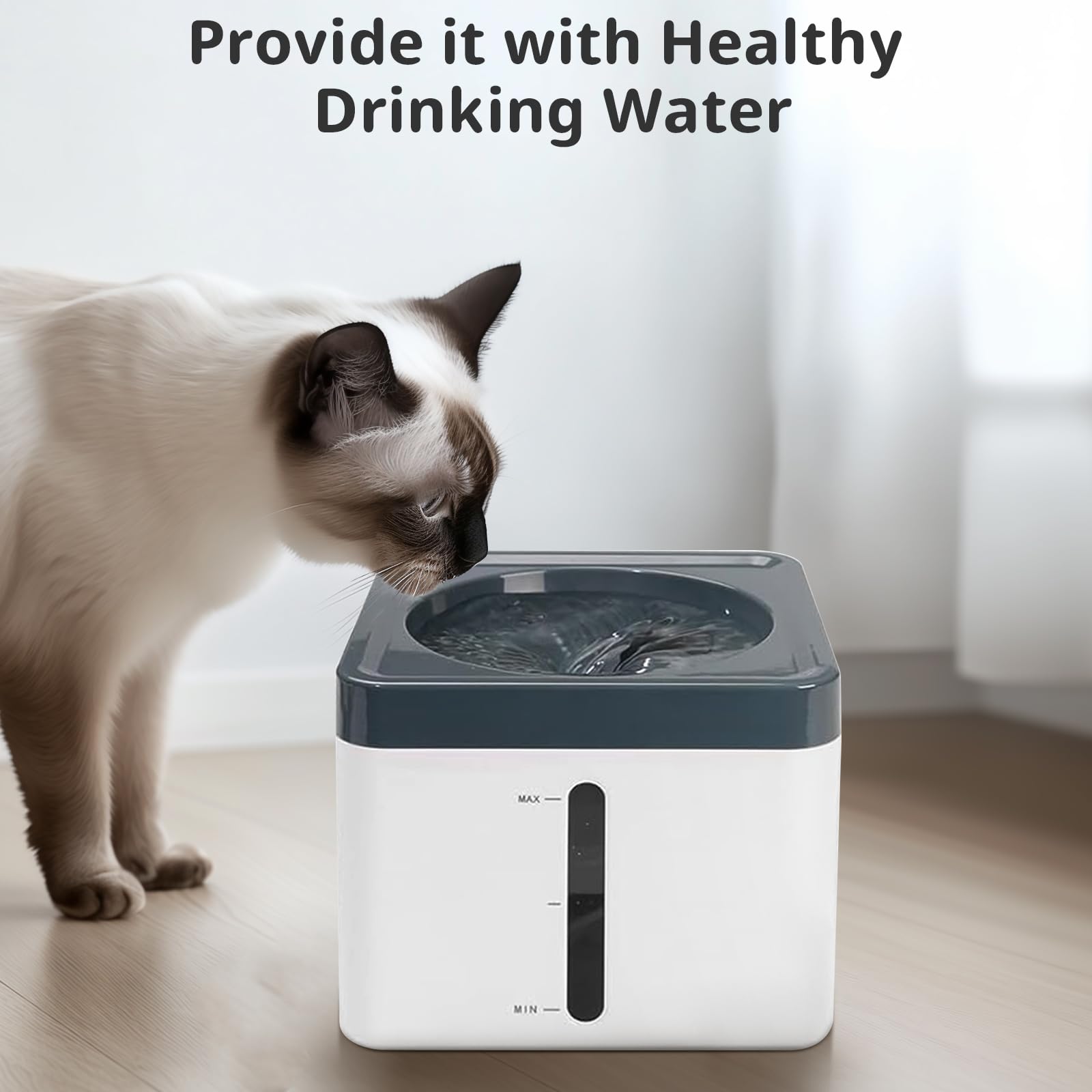 ITSCUTE cambio filtracion regular: reemplazar filtros cada 2-4 semanas para agua fresca.