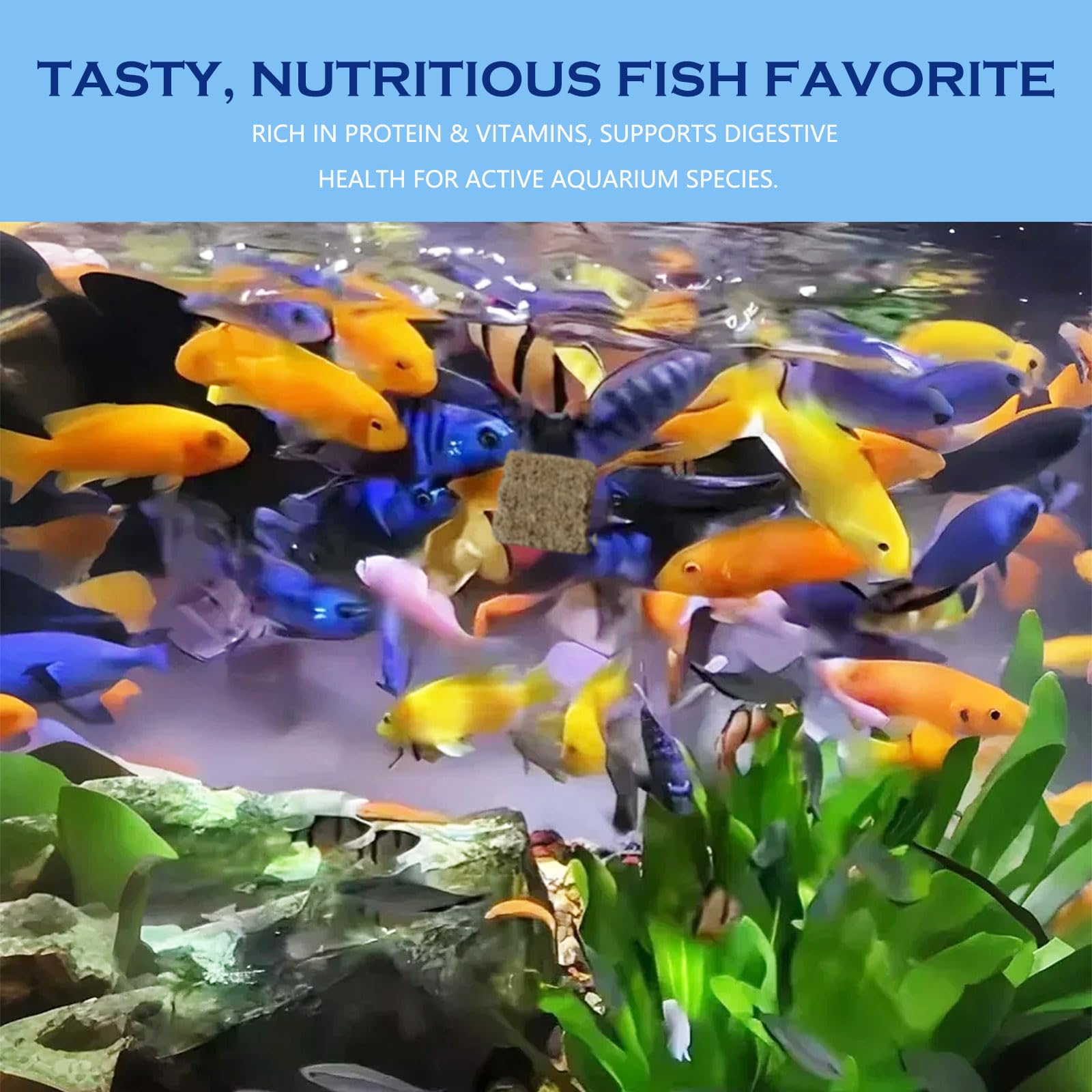 JADINGSFARM perfecto para bettas, cíclidos y peces tropicales.