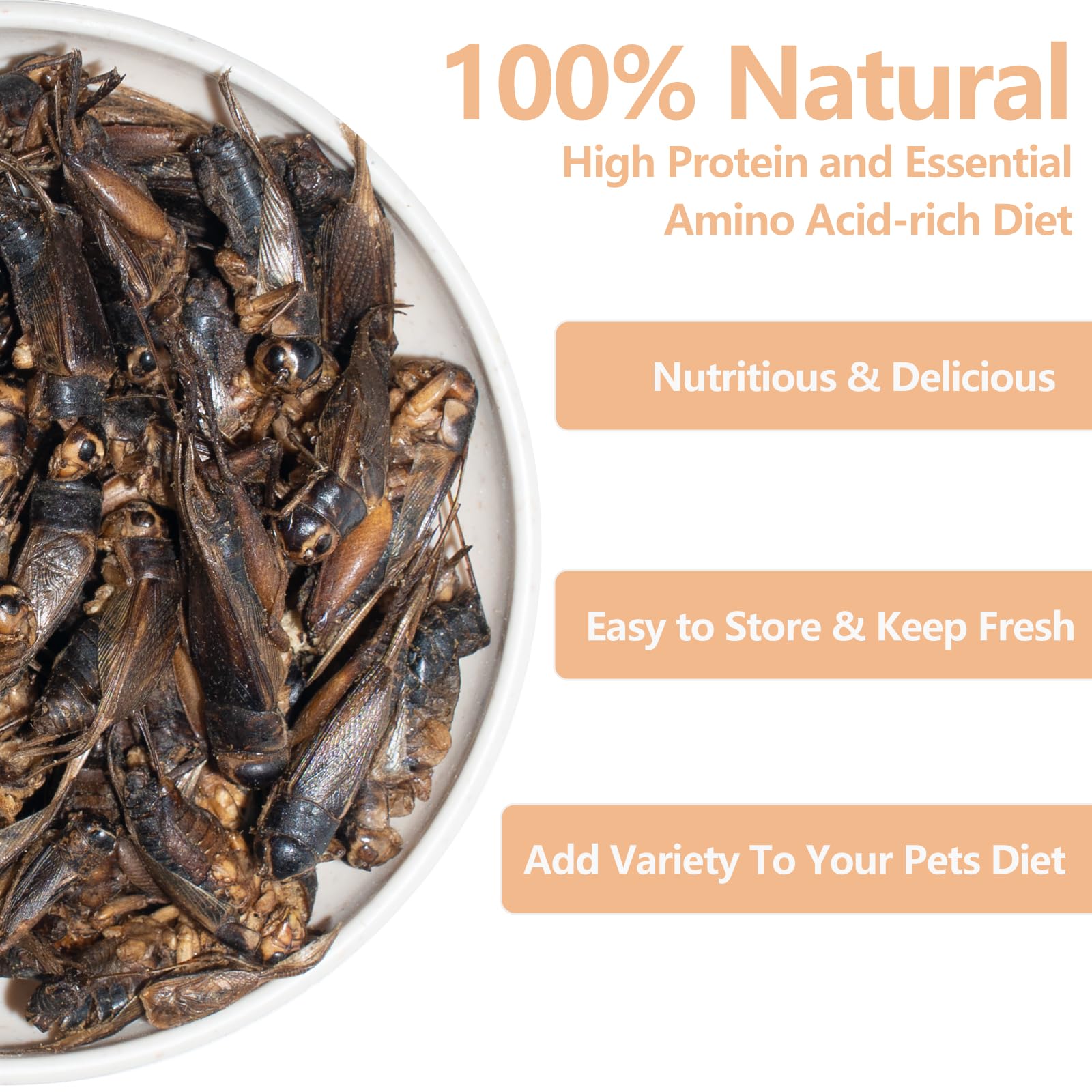 JADINGSFARM grillos liofilizados en bolsa individual, conveniente para alimentar reptiles.