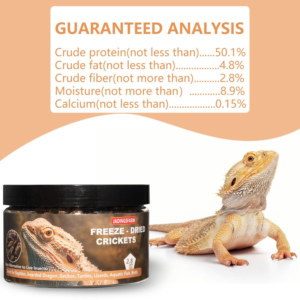 JADINGSFARM grillos liofilizados para reptiles, proteína sostenida para dragones barbudos.