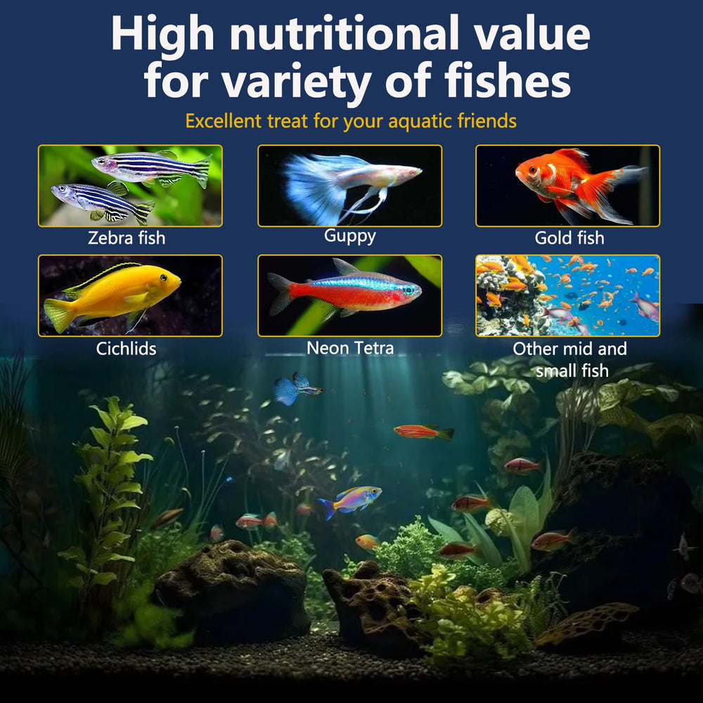 JADINGSFARM gusanos de sangre secos, opción práctica para mantener un acuario activo y saludable.