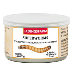 envase hermético de gusanos superworms de jadingsfarm para frescura.