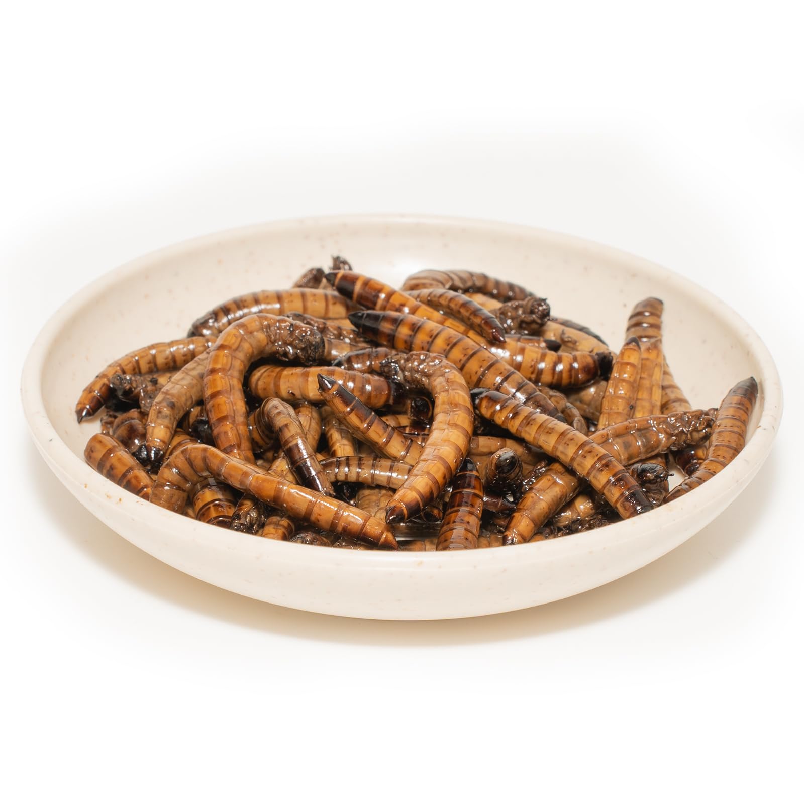 sirviendo gusanos superworms para reptiles, aves y peces.