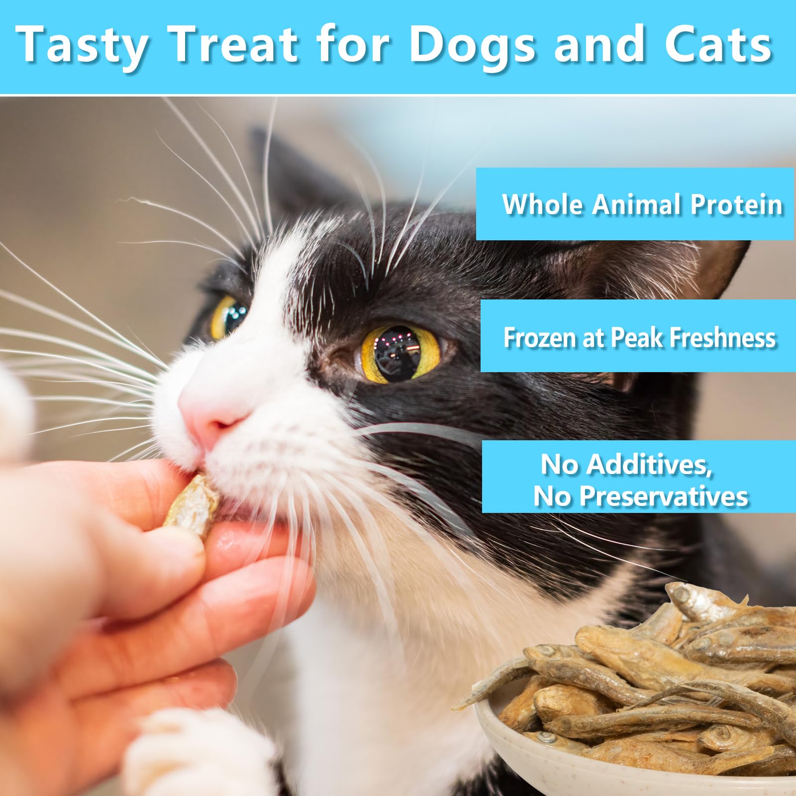 JADINGSFARM Minnows para perros y gatos, snack natural y nutritivo.