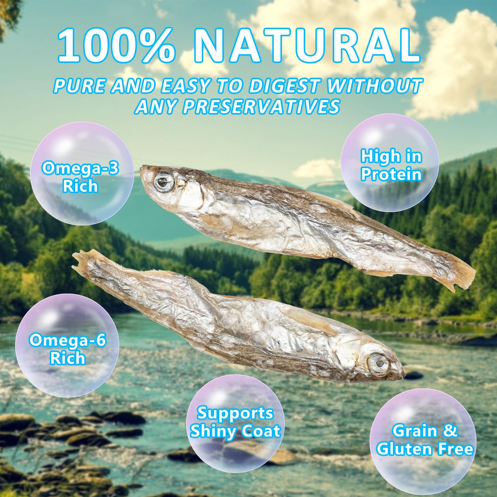 JADINGSFARM Minnows, ideal para almacenamiento práctico y pausas de alimentación.